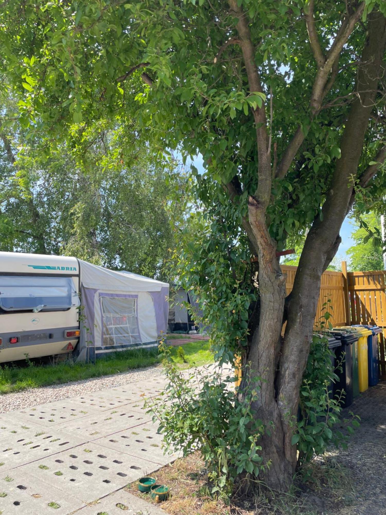 Sonata Camp Ξενοδοχείο Jastarnia Εξωτερικό φωτογραφία
